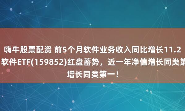 嗨牛股票配资 前5个月软件业务收入同比增长11.2%，软件ETF(159852)红盘蓄势，近一年净值增长同类第一！