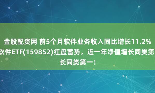 金股配资网 前5个月软件业务收入同比增长11.2%，软件ETF(159852)红盘蓄势，近一年净值增长同类第一！