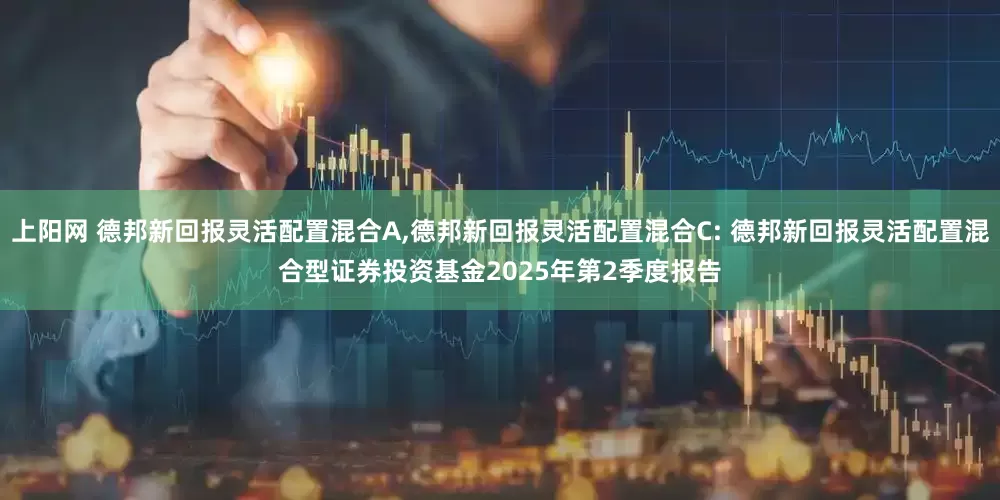 上阳网 德邦新回报灵活配置混合A,德邦新回报灵活配置混合C: 德邦新回报灵活配置混合型证券投资基金2025年第2季度报告