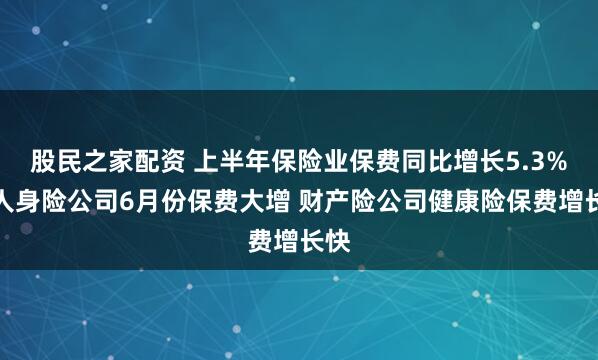 股民之家配资 上半年保险业保费同比增长5.3%：人身险公司6月份保费大增 财产险公司健康险保费增长快